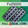 Fx25000 31